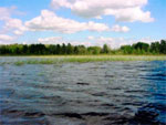 Wild Rice Lake