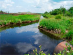 Stoney Brook Watershed