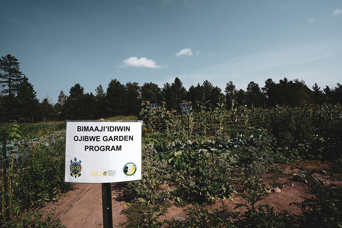 Demonstration Plots