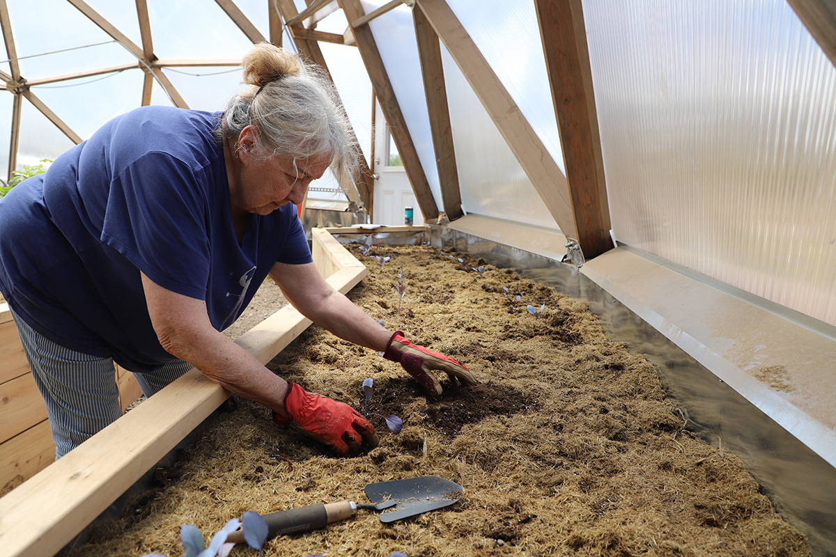 Planting in the Grow Dome